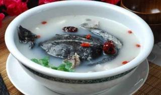 清炖甲鱼汤的做法王刚 清炖甲鱼的做法